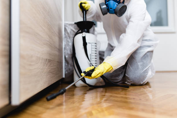Best Commercial Pest Control Services  in Beech Grove, IN