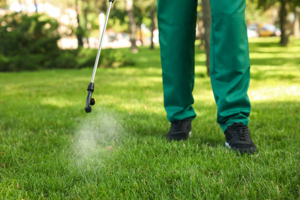 Best Wasp Removal Services  in Beech Grove, IN
